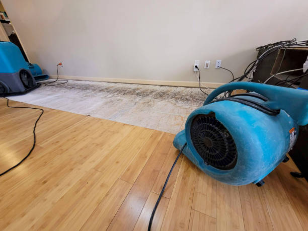 Professional Flood Damage Cleanup technician working in Lakeland, GA